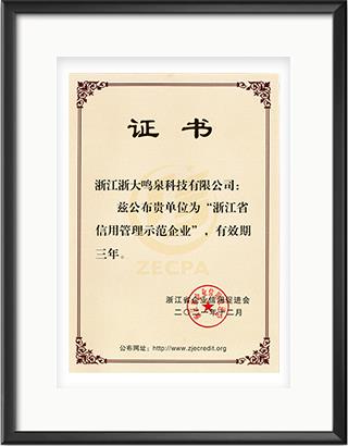 浙大彩神（中国）
