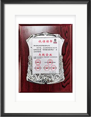 浙大彩神（中国）