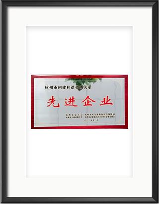浙大彩神（中国）