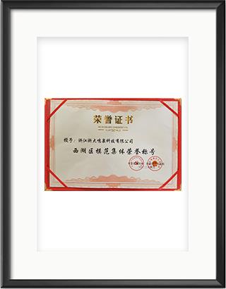 浙大彩神（中国）
