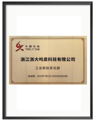 浙大彩神（中国）